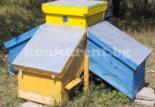 Отмъкнаха 22 кошера