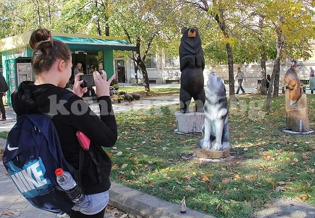 Мечка, вълк и лисица се появиха във Враца