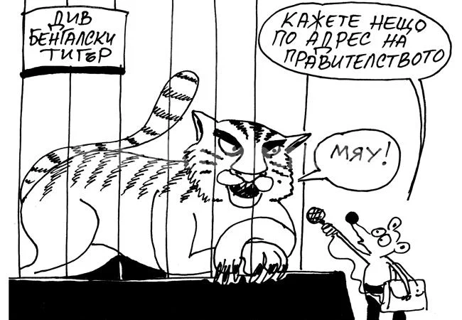 Анкета