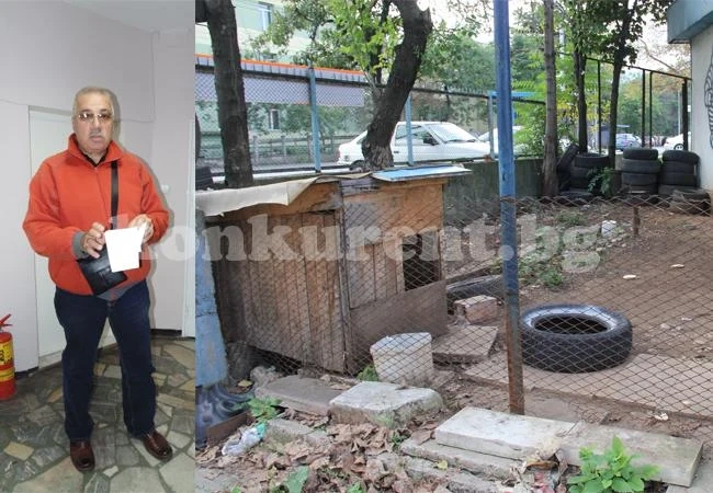Месец след нахапване от питбул врачанка е в шок, няма осъдени