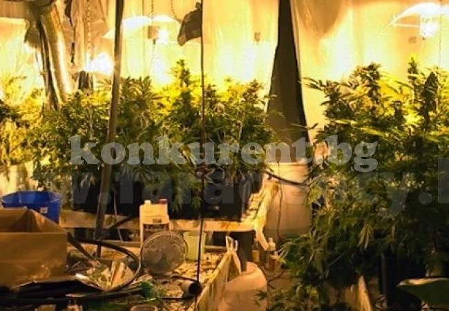 Разбиха ново наркодепо