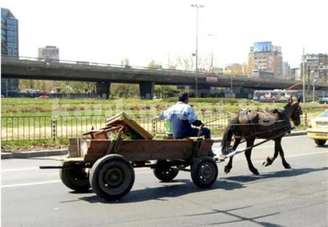 Роми оглозгаха мост във Враца, съветник търси помощ от общината