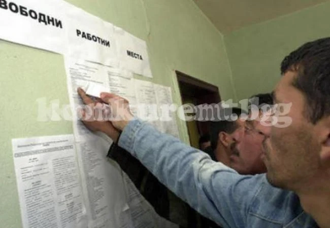 Над 9 000 видинчани са безработни
