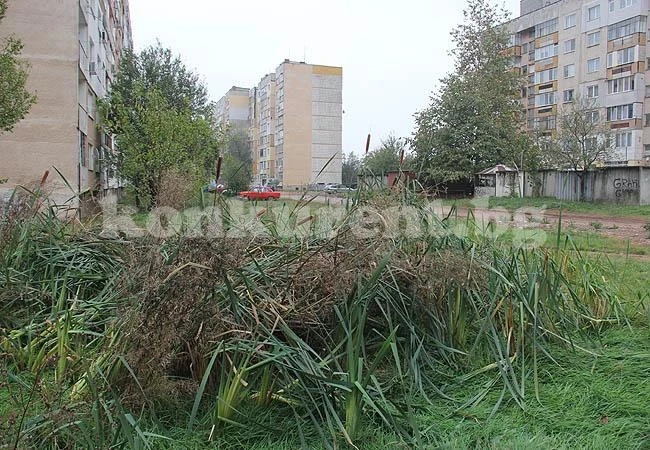 Читатели: Вижте какво се появи в ж.к. Дъбника