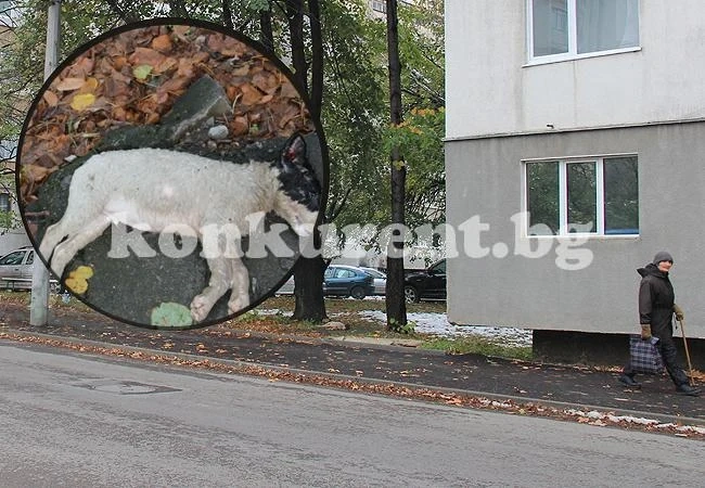 Гражданите питат, ние отговаряме