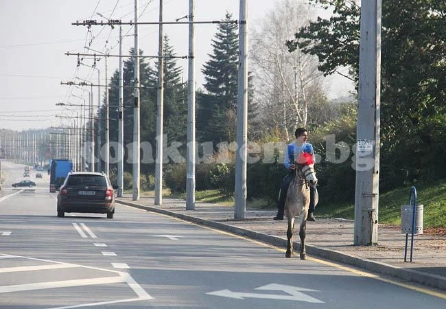Конник се появи във Враца