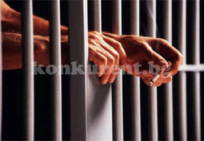 Убиец на котка влиза за 1 година в затвора