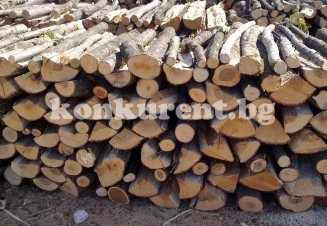 Осигуриха 79 куб. м дърва за пострадалите в Берковица
