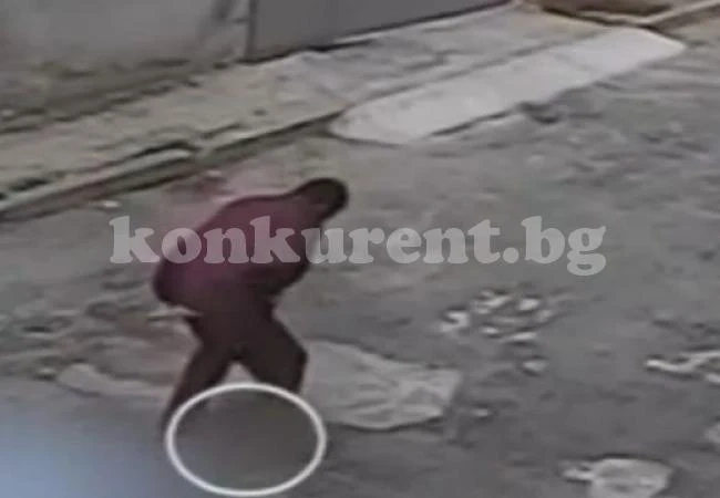 Изрод, скачал върху главата на коте във Варна, е арестуван и пуснат