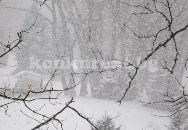 Снежна буря взе 4 жертви в Ню Йорк