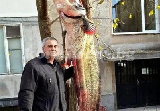 Зъболекар хвана 108-килограмов сом