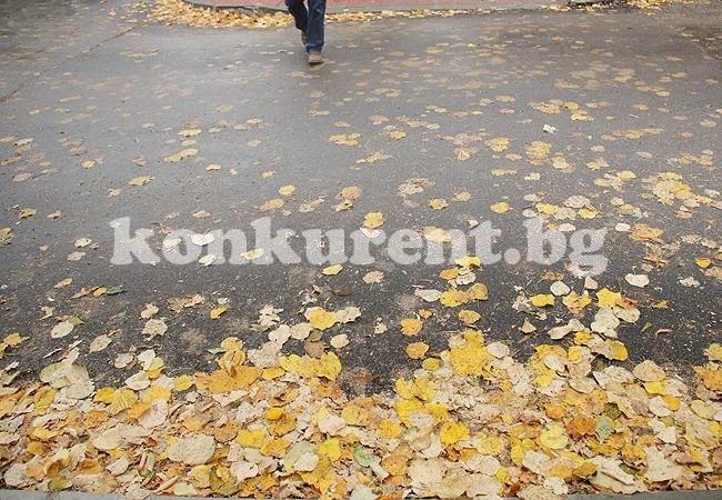 Времето: Облачно, но без валежи