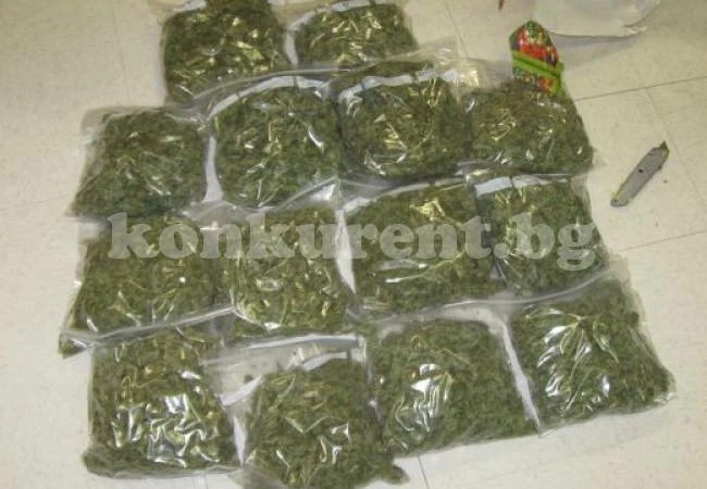 Спипаха 12 тона марихуана