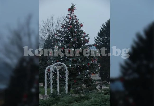 /Снимки/ 1 800 лампички греят на елхата във Враца