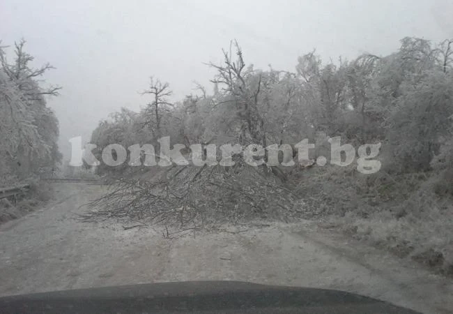Община Белоградчик обяви бедствено положение