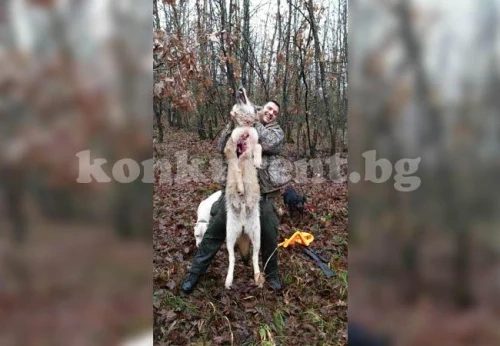 Столичанин повали вълк в Балкана над Георги Дамяново