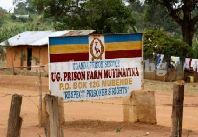 Рекорд: Хиляда затворници избягаха
