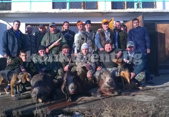 3 прасета с общо тегло над 400 кг отстреляха авджиите в Криводол