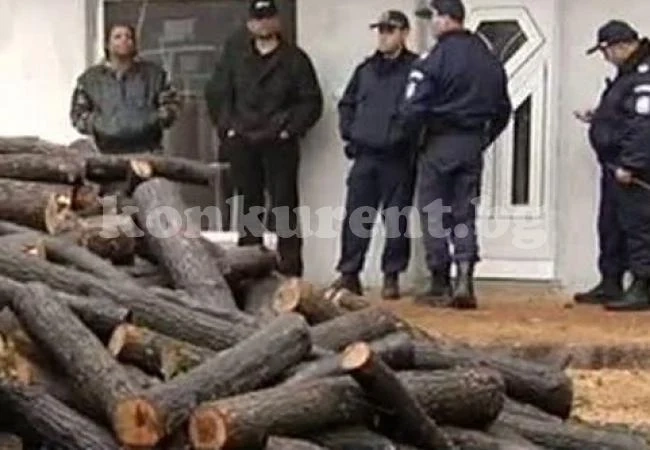 Бизнесдама краде дърва, пробва да подкупи горски