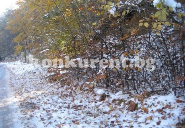 Вятърът се усилва, но времето се затопля