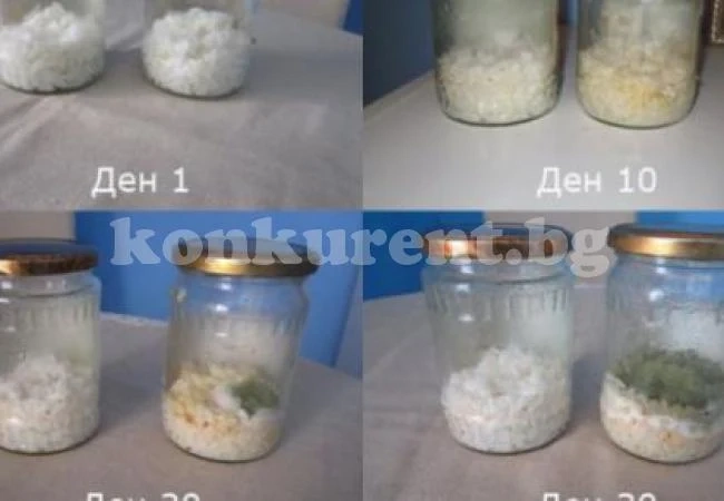Българин потвърди шокиращия експеримент, че оризът разбира от думи