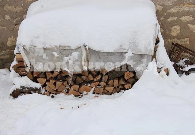Намериха дърва без документ във фирмен имот
