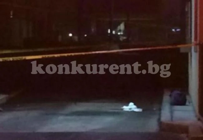 Син застрелял приемната си майка