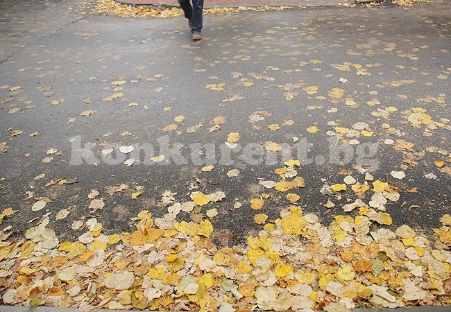 Времето: Сравнително топло за януари