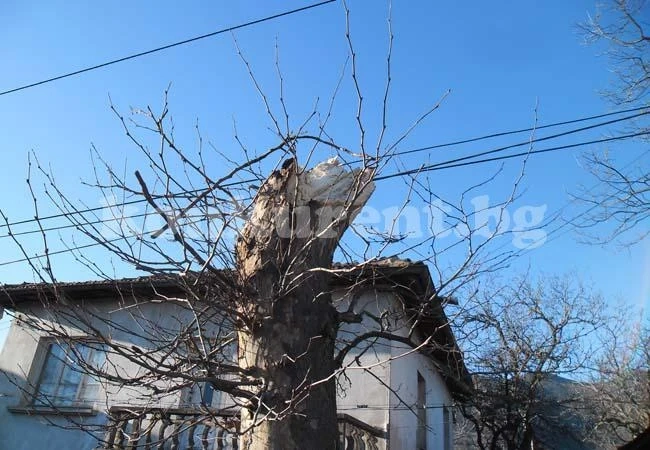 Ураганен вятър отвя Вършец-обявиха бедствено положение