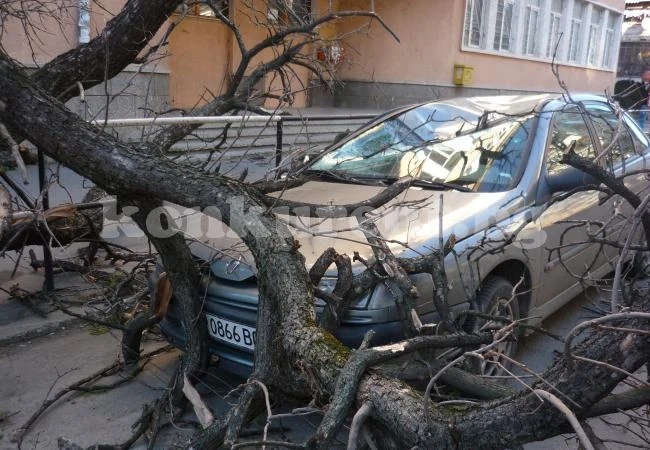 И Монтана брои пораженията от ураганния вятър