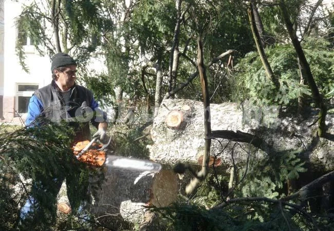 Ивайло Петров благодари на техниците на ЧЕЗ