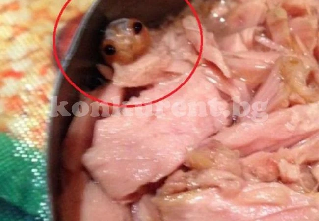 Какво гледа от консерва с риба?