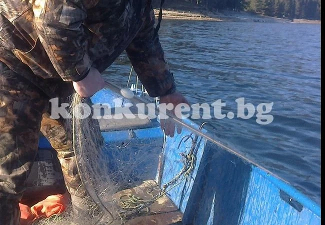 Извадиха 300 м мрежи от Огоста пълни с риба