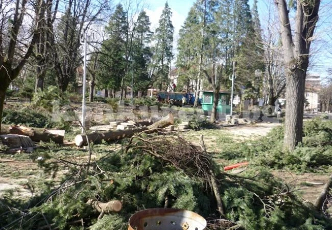 Вършец разпределя 6 бона между пострадалите от урагана