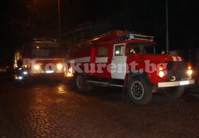 Свине и кон изгоряха при пожар в стопанска постройка