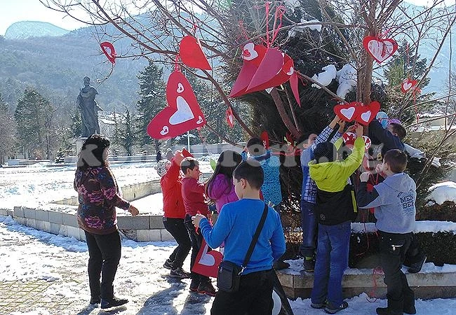 Дърво на любовта се появи във Враца