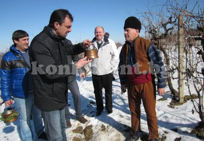 Явор Хайтов заряза лозите край Веслец