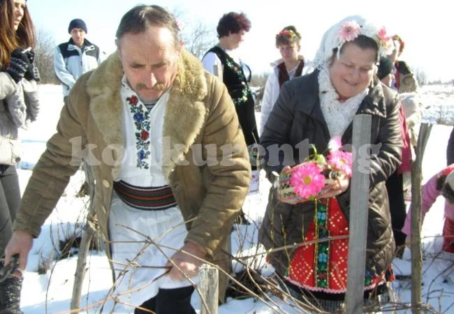 Кмет се превърна в Трифон Зарезан за празника