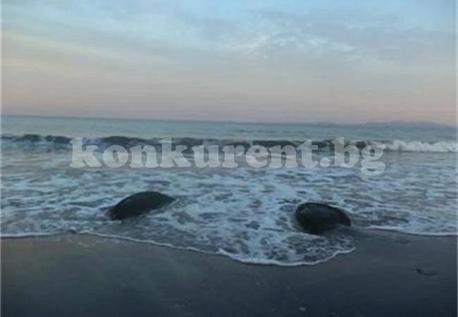 Варненци откриха сезона с масово къпане в морето