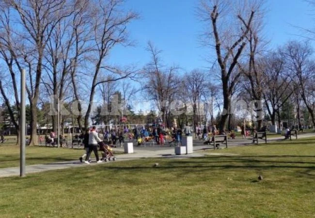 Бездомно куче спаси бебе