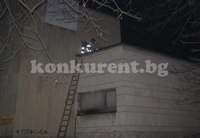 Пожарникари спасяваха котка във Видин