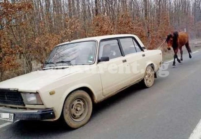 Родна картинка: \