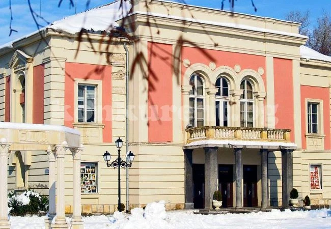 Театърът във Видин чака дарения заради наглата кражба