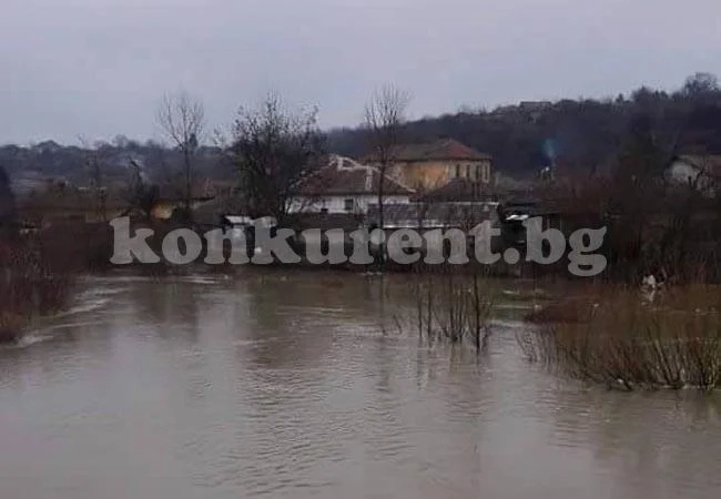 На 6 км от Мизия реката залива близките храсти и дървета /Снимки/