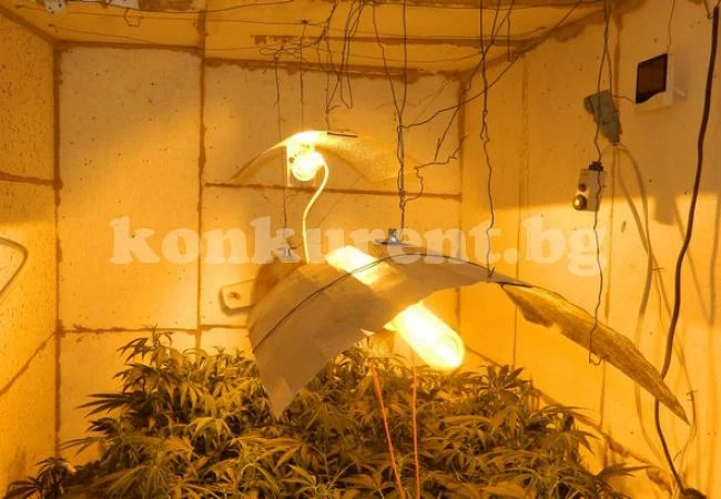 Вижте разбитите лаборатории за дрога в Монтанско