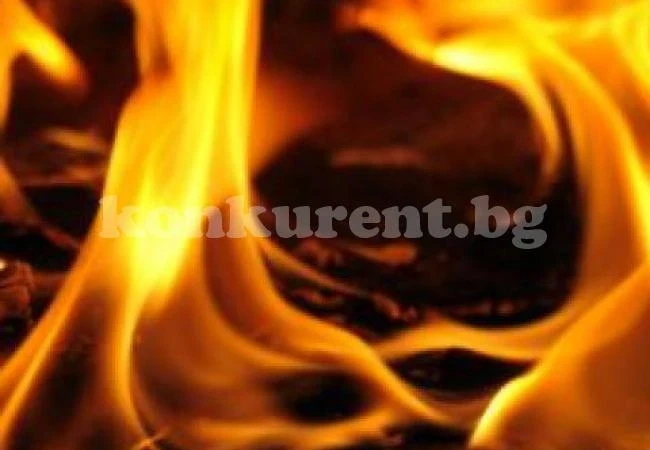 Пожарната гаси пламнал контейнер 