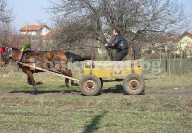 Мъж влезе в болница след надбягване с каруци