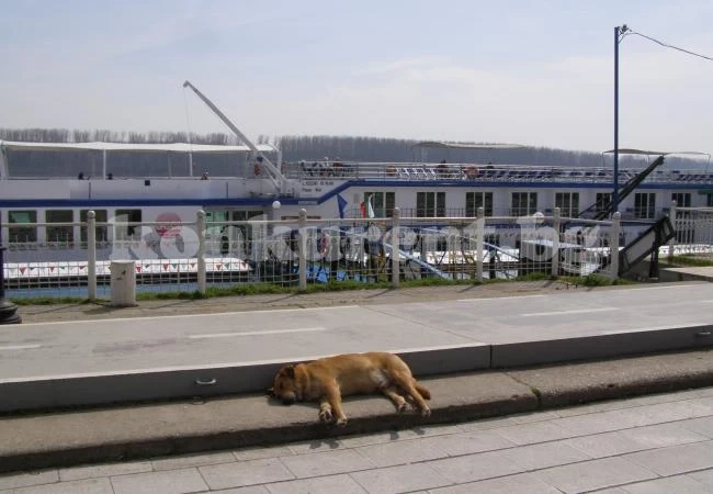 Пристигна първият круизен кораб във Видин