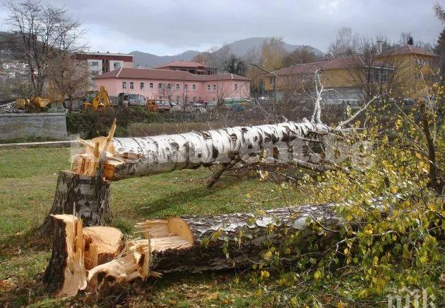 Жандармерия ще пази горите