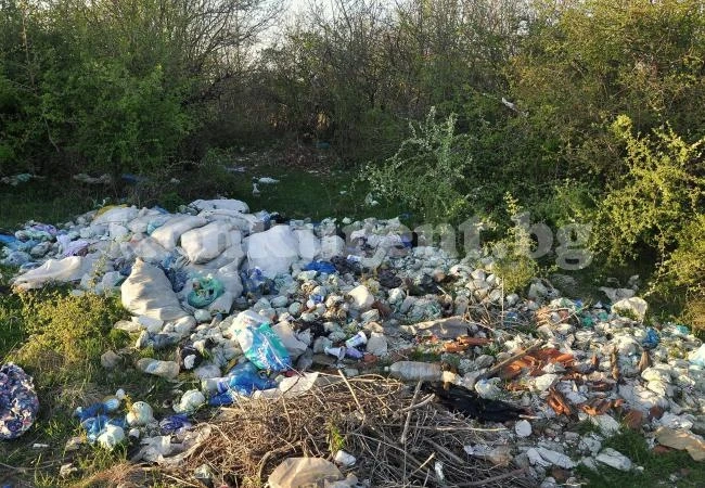 Боклуци затрупват Солимагина ливада край Монтана